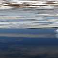 IJsland Heidarvatn (2232)