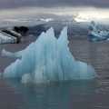 IJsland Jokulsarlon (2116)
