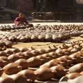 Nepal Bhaktapur Pottery square (0497)